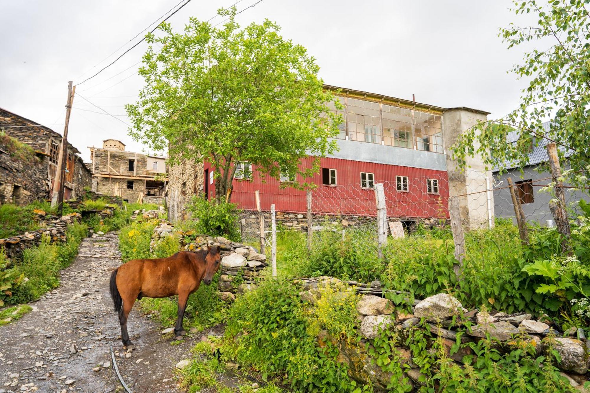 Guesthouse Svani أوشغولي المظهر الخارجي الصورة